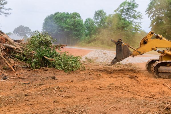 Forestry Mulching Service in Monroe