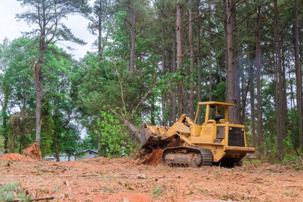 Cost of Site Cleaning in Monroe
