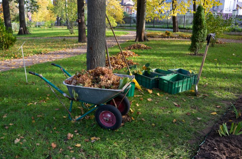 Autumn Vegetation Removal